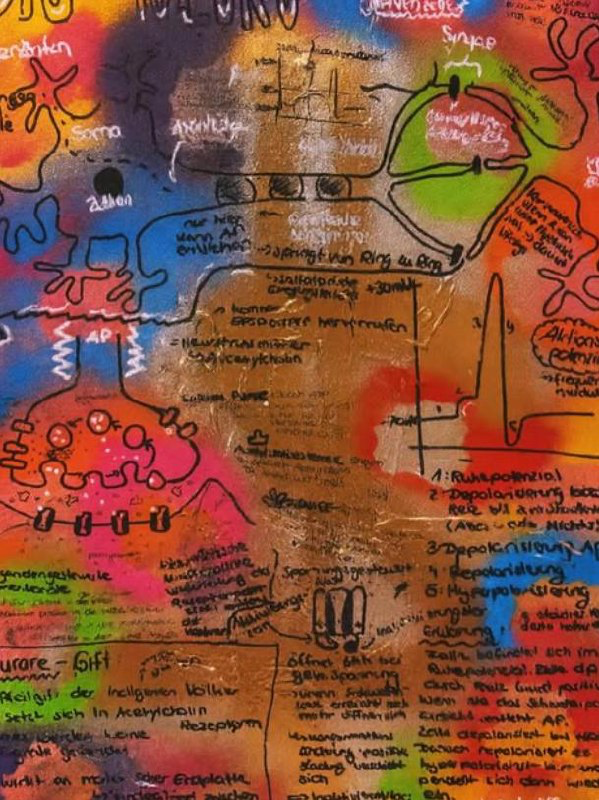 Zwischen Wissen und Farbe